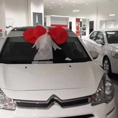 Kırmızı Beyaz Konsept