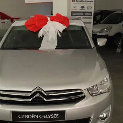 Ankara Palyaço Kiralama ve Çocuk Animatör Fiyatları